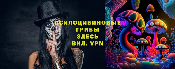 альфа пвп Алексеевка
